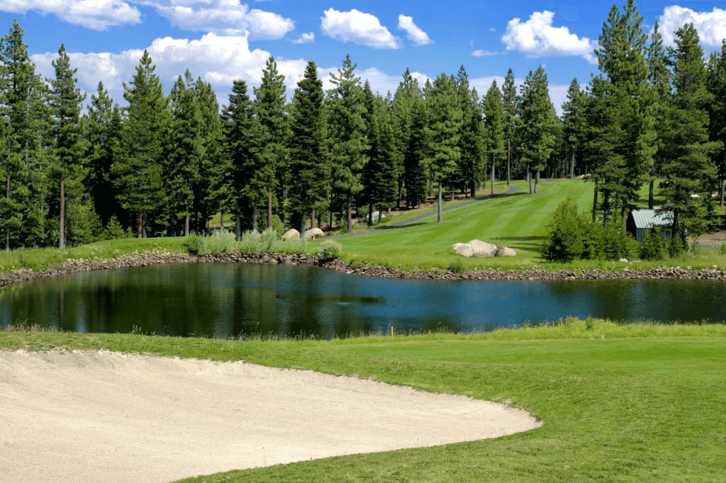 Coyote Moon Golf Course pond, bunker, and pine-lined fairway on a sunny day