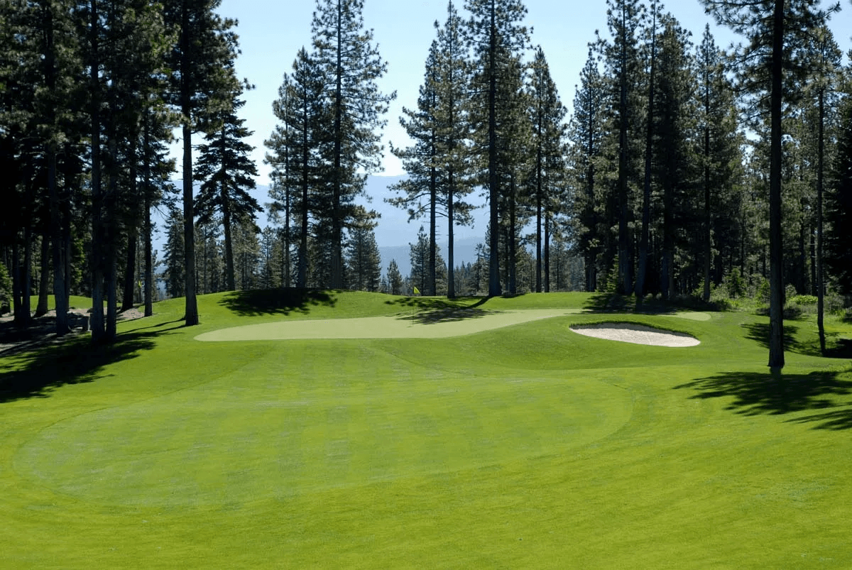Coyote Moon Golf Course green and bunker surrounded by tall pines
