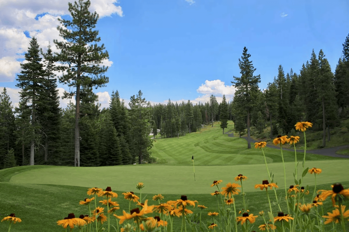 Coyote Moon Golf Course green with yellow wildflowers and pine trees