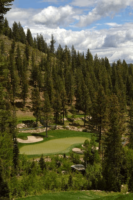 Elevated view of a Coyote Moon Golf Course green surrounded by dense Tahoe forest