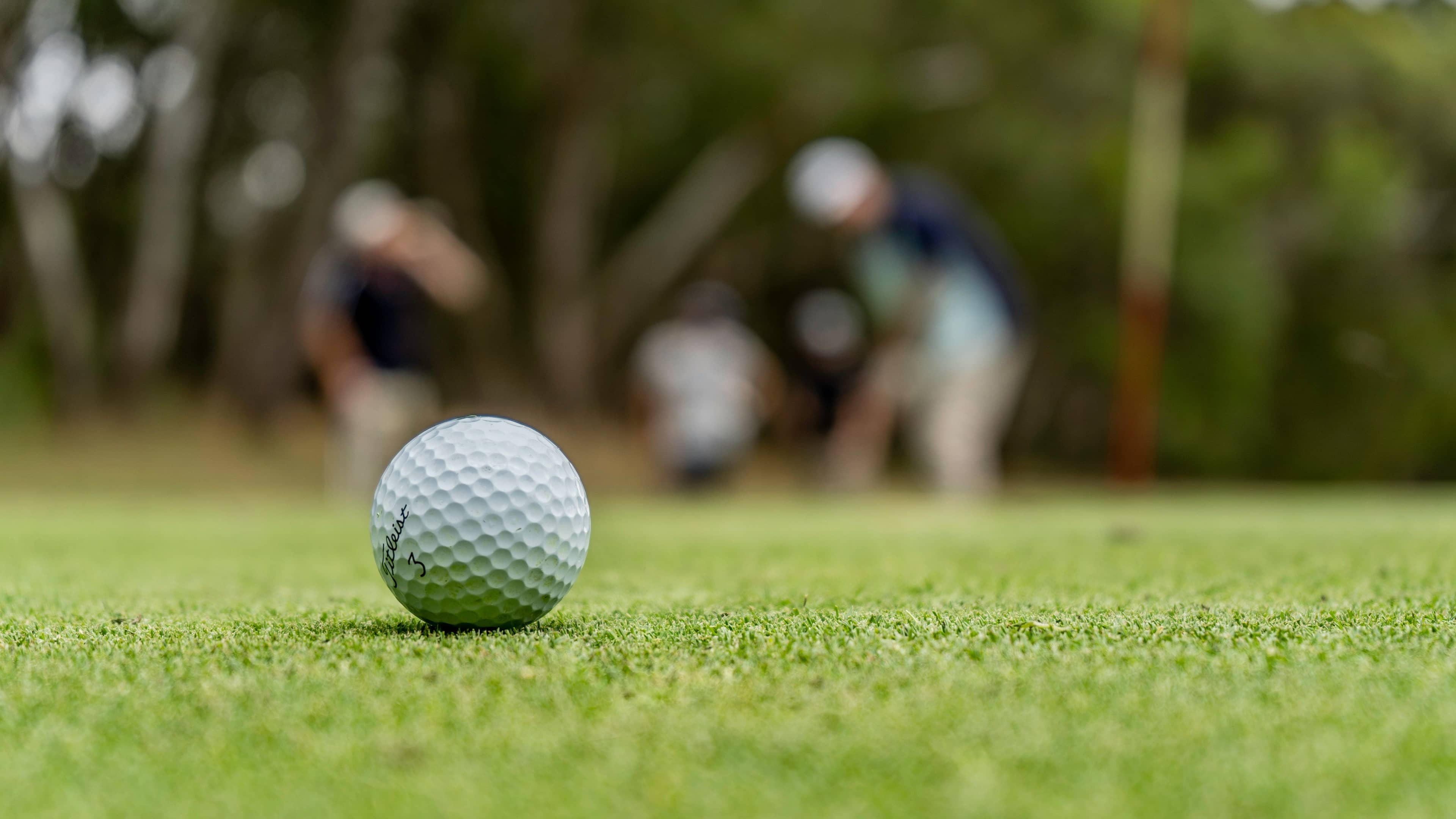 White golf ball resting on a closely cut green during a casual round of golf.